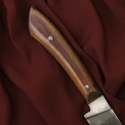 Нож Корд Куруш - текстолит, гюльбанд олово, заточка от середины ШХ-15 (13-14 см) - Фото 4