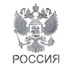 Наклейка на автомобиль «Герб России» 9×7 см, серебро - Фото 3