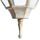 Светильник уличный PEGASUS, 60Вт, E27, цвет белый - Фото 3