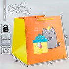 Пакет подарочный квадратный, упаковка, «Котик и тортик», 30 х 30 х 30 см - фото 318165601
