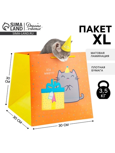 Пакет подарочный квадратный, упаковка, «Котик и тортик», 30×30×30 см