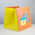 Пакет подарочный квадратный, упаковка, «Котик и тортик», 30 х 30 х 30 см - фото 9080608