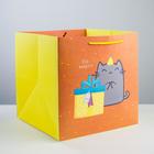 Пакет подарочный квадратный, упаковка, «Котик и тортик», 30 х 30 х 30 см - фото 9080609