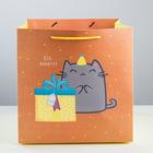 Пакет подарочный квадратный, упаковка, «Котик и тортик», 30 х 30 х 30 см - фото 9080610