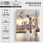 Алмазная мозаика с частичным заполнением «Чайки», 30 х 40 см, холст. Набор для творчества - Фото 1