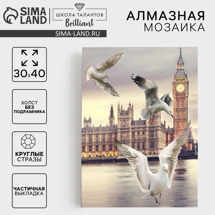 Алмазная мозаика с частичным заполнением «Чайки», 30 х 40 см, холст. Набор для творчества