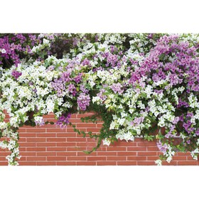 Фотобаннер, 250 × 150 см, с фотопечатью, люверсы шаг 1 м, «Весенние цветы», Greengo