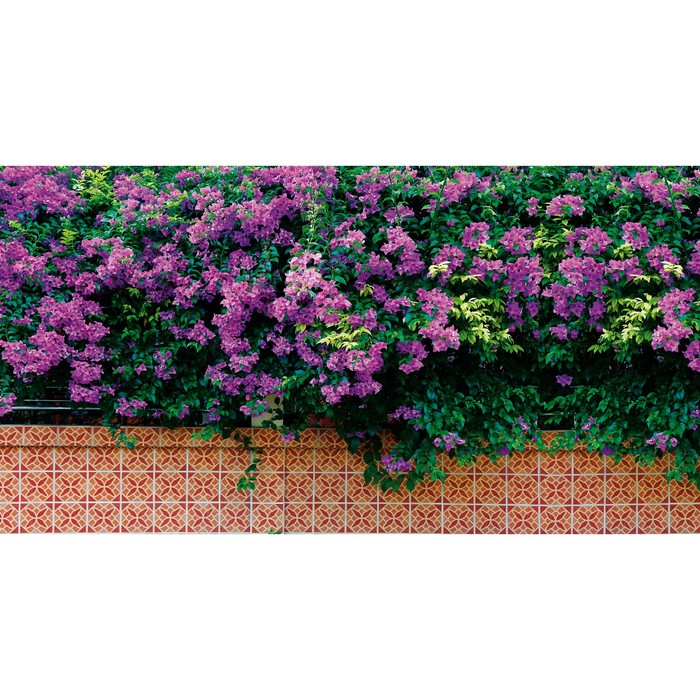 Фотобаннер, 300 × 200 см, с фотопечатью, люверсы шаг 1 м, «Фиолетовые цветы»