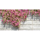 Фотобаннер, 300 × 200 см, с фотопечатью, люверсы шаг 1 м, «Стена с цветами» - Фото 1