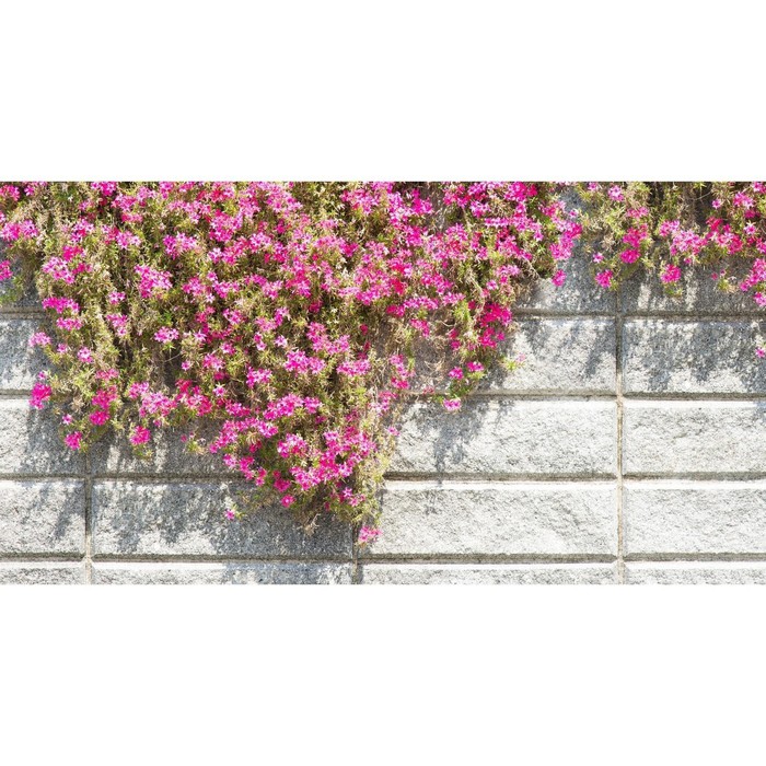 Фотобаннер, 300 × 200 см, с фотопечатью, люверсы шаг 1 м, «Стена с цветами» - фото 1908442957