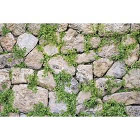 Фотобаннер, 250 × 150 см, с фотопечатью, люверсы шаг 1 м, «Каменная стена», Greengo