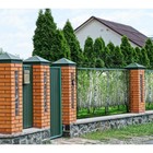 Фотобаннер, 300 × 200 см, с фотопечатью, люверсы шаг 1 м, «Берёзовая роща», Greengo 4186773