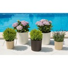 Пластиковый горшок с вкладкой «Мальва», цвет белый - Фото 4