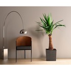 Пластиковый горшок с вкладкой «Юкка Джуто», цвет графит - Фото 2