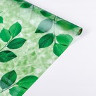 Витражная плёнка «Веточки», 45×200 см - Фото 3