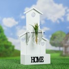 Подставка деревянная со стеклянным кашпо 9*24*41 см - Фото 2