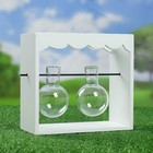 Подставка деревянная с двумя стеклянными кашпо 10*22*20 см - Фото 1