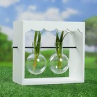 Подставка деревянная с двумя стеклянными кашпо 10*22*20 см - Фото 2