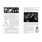 Всё о муми-троллях. Книга 1. Янссон Т. - Фото 4