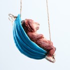 Подвесной декор "Ленивец в гамаке", 10х20х11см - Фото 7