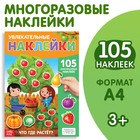 Наклейки многоразовые «Что где растёт», формат А4 - Фото 1