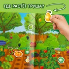 Наклейки многоразовые «Что где растёт», формат А4 - Фото 5