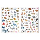 Наклейки многоразовые «Животные со всего света», формат А4 - Фото 3
