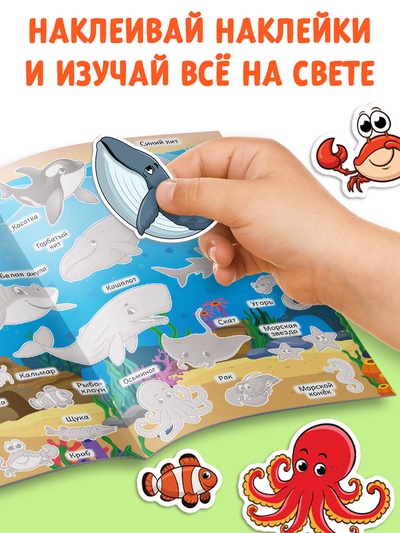 Книги с наклейками многоразовыми «Познавательные», набор 10 шт.