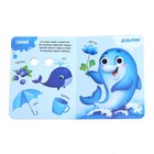 Книги с глазками картонные «Изучаем всё вокруг», набор 4 шт. по 10 стр. - Фото 3