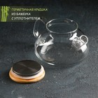 Чайник стеклянный заварочный с бамбуковой крышкой и металлическим фильтром Magistro «Эко», 600 мл - Фото 2