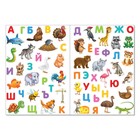 Наклейки многоразовые «Живая азбука», формат А4 - Фото 3