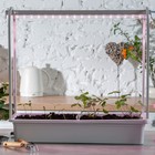 Фитосветильник для растений Uniel, светодиодный, 10 Вт, 572 мм, IP20, 220 В, с выключателем, полноспектральный - Фото 13