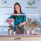 Фитосветильник светодиодный Uniel, 14 Вт, 872 мм, IP20, 220 В, полноспектральный, с выкл. - Фото 7