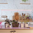 Фитосветильник светодиодный Uniel, 14 Вт, 872 мм, IP20, 220 В, полноспектральный, с выкл. - Фото 6