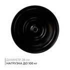 Диск здоровья, металлический, d=28 см, двухцветный - Фото 1