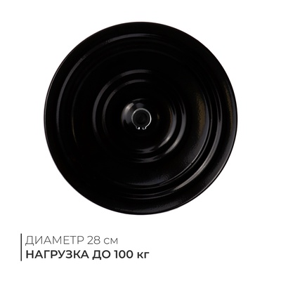 Диск здоровья, металлический, d=28 см, двухцветный