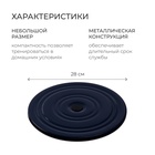 Диск здоровья, металлический, d=28 см, двухцветный - Фото 2