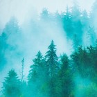 Постельное бельё "Этель" евро Туманный лес 200х217 см, 240х260 см, 50х70 см - 2 шт, мако-сатин - Фото 4