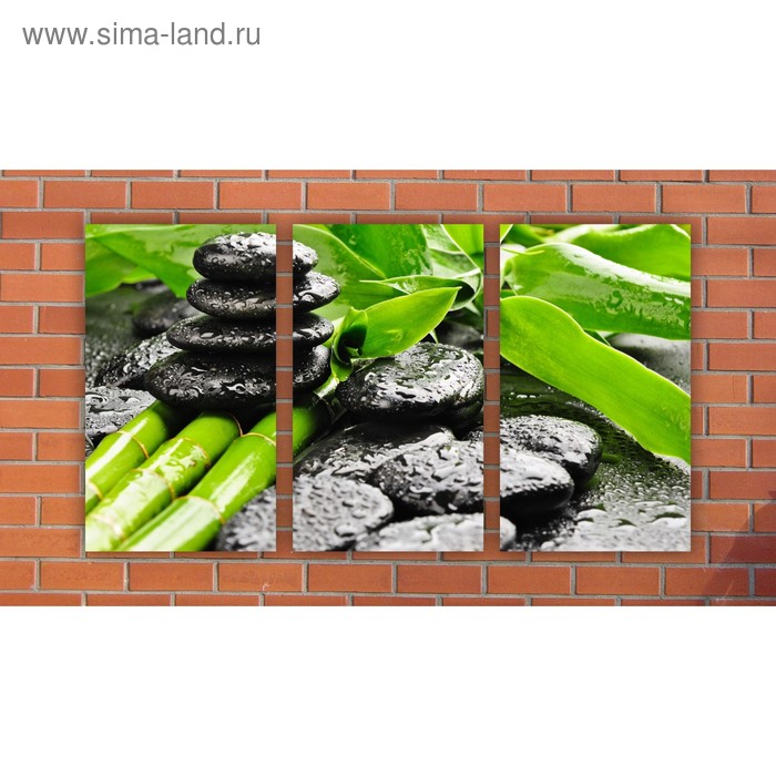 Модульная картина на экокоже "Черные камни и бамбук" 3шт.-30х50 см, 94*50 см - Фото 1
