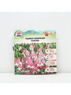 Гладиолус Низкорослый «Галактика», луковица цветов в пакете с перфорацией, р-р 10+, 7 шт. - Фото 6