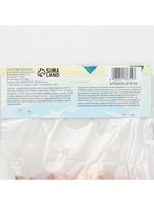 Гладиолус Низкорослый «Галактика», луковица цветов в пакете с перфорацией, р-р 10+, 7 шт. - Фото 8