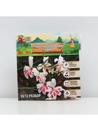 Гладиолус Низкорослый «Эльвира», луковица цветов в пакете с перфорацией, р-р 10+, 7 шт. - Фото 6