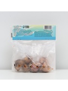 Гладиолус Низкорослый «Эльвира», луковица цветов в пакете с перфорацией, р-р 10+, 7 шт. - Фото 7