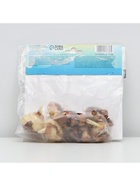 Гладиолус Низкорослый «Принц Клаус», луковица цветов в пакете с перфорацией, р-р 10+, 7 шт. - Фото 7