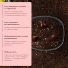 Корзина для посадки луковичных растений, овальная, 30.6×27 см, h=7.5 см, МИКС - Фото 3