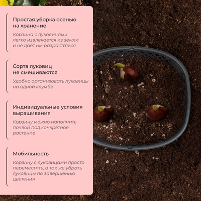 Корзина для посадки луковичных растений, овальная, 30.6×27 см, h=7.5 см, МИКС