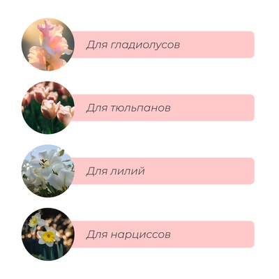 Корзина для посадки луковичных растений, овальная, 30.6×27 см, h=7.5 см, МИКС