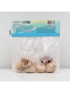 Гладиолус Низкорослый "Лас-Вегас", луковица цветов в пакете с перфорацией, р-р 10+, 7 шт. - Фото 7