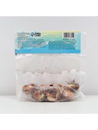 Гладиолус Тубергена «Шарм», луковица цветов в пакете с перфорацией, р-р 10+, 7 шт. - Фото 7