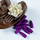 Подставка для благовоний TAKE IT EASY «Листья лотоса», набор благовоний конусы, стелющийся дым, 20×16×15 см - Фото 4